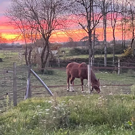 Le Noyer Pessac-sur-Dordogne
